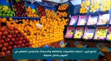 تراجع كبير.. أسعار الخضروات والفاكهة والأسماك والدواجن تنخفض في الفيوم بشكل ملحوظ
